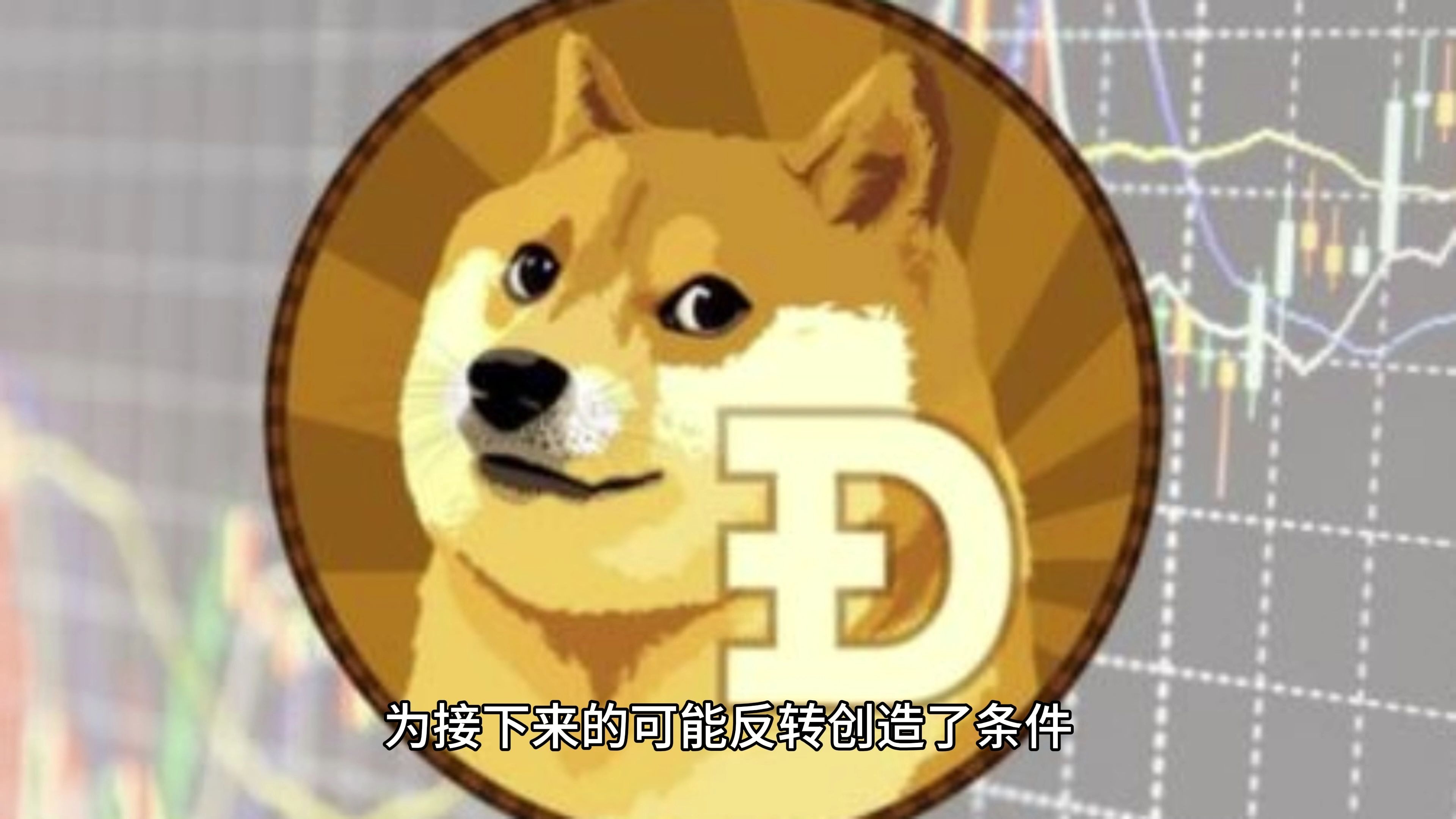 狗狗币投资骗局被揭发，已有超163人被骗！